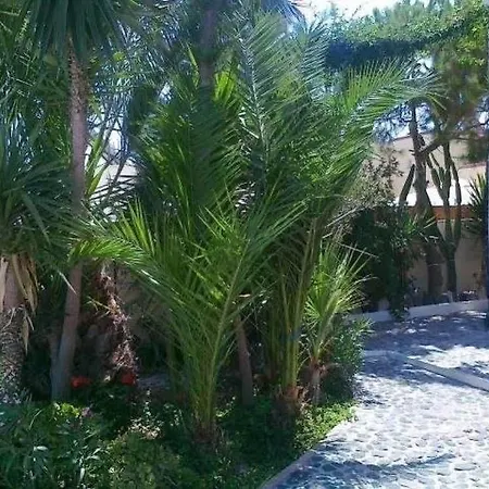 Ξενοδοχείο Danae 3*