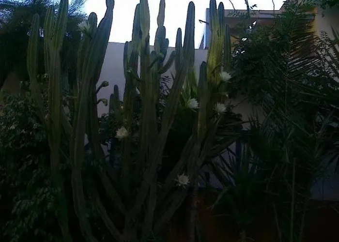 Danae Hotel Fira (Santorini)