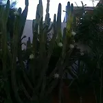 다나에 호텔 산토리니