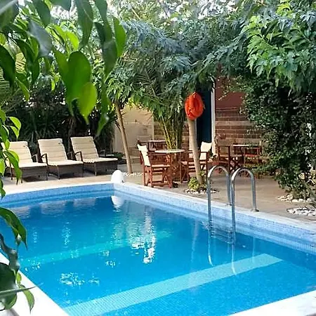 Hotel Danae 3*